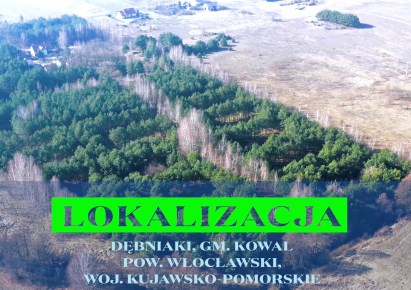 działka na sprzedaż - Kowal, Dębniaki