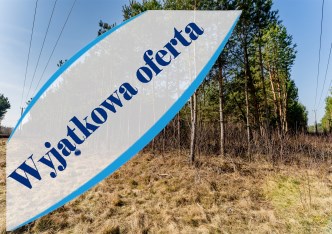 działka na sprzedaż - Kowal, Dębniaki