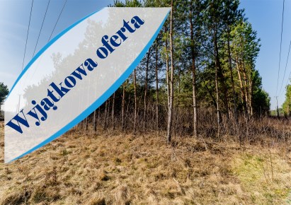 działka na sprzedaż - Kowal, Dębniaki