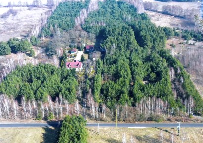 działka na sprzedaż - Kowal, Dębniaki
