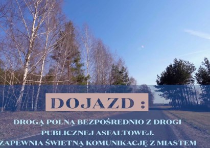 działka na sprzedaż - Kowal, Dębniaki