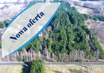działka na sprzedaż - Kowal, Dębniaki