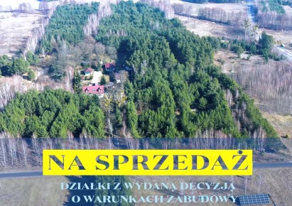 działka na sprzedaż - Kowal, Dębniaki