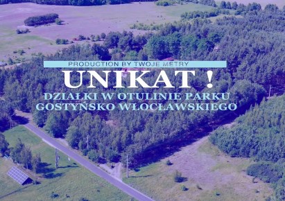 działka na sprzedaż - Kowal, Dębniaki
