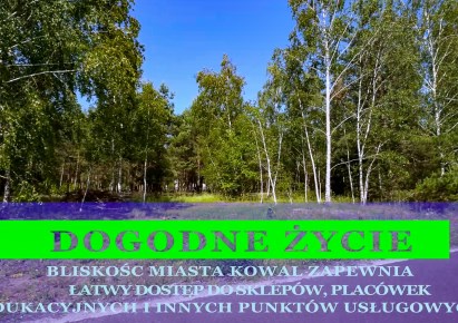 działka na sprzedaż - Kowal, Dębniaki