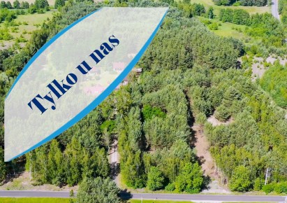 działka na sprzedaż - Kowal, Dębniaki